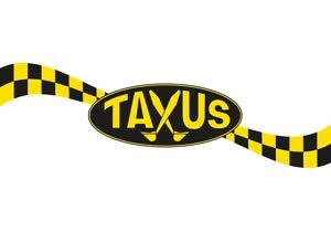 taxus_huvud
